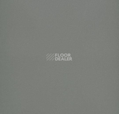 Линолеум Forbo Eternal Colour 40462 elephant фото 1 | FLOORDEALER